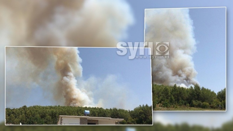 Pamje të frikshme, zjarri u afrohet banesave në Mamurras