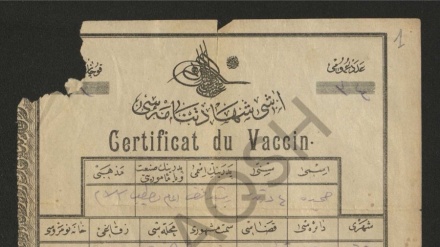  Çertifikata shekullore: 100 vite më parë në Shupal të Tiranës u vaksinua një vajzë 4-vjeçare