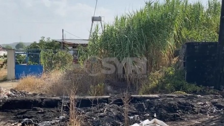 Fshati Zharrëz i mbushur me pellgje nafte, banori: kemi frikë për fëmijët tanë, era e rëndë…