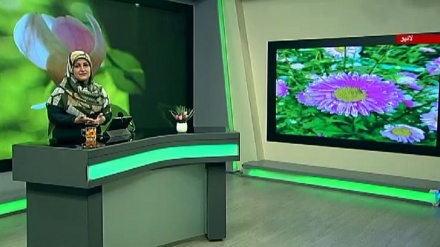 سماجی پروگرام ۔ زندگی سلام