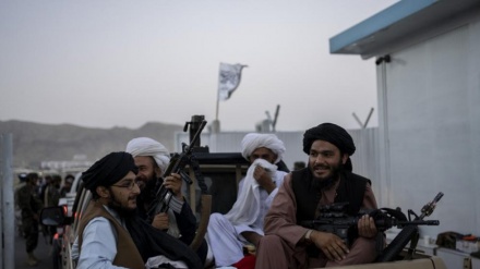 Panjshir: Qëllohet për vdekje vëllai i ish- Zëvendëspresidentit afgan nga talebanët