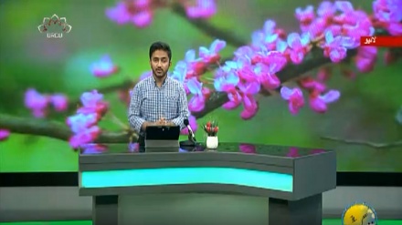 سماجی پروگرام ۔ زندگی سلام