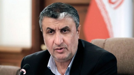 Shef i Agjencisë për Energji Atomike të Iranit: ANEA nuk duhet të bëhet lodër në duar të grupeve terroriste