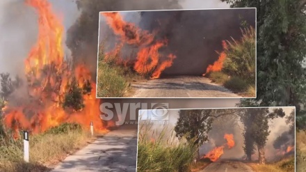 Zjarrvënie e qëllimshme, arrestohen dy shtetas dhe procedohet penalisht një i mitur