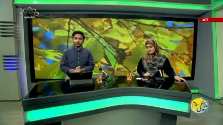 سماجی پروگرام ۔ زندگی سلام