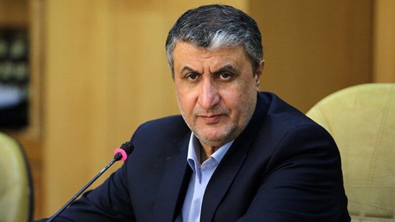 Mohammad Eslami, šef Organizacije za atomsku energiju Irana