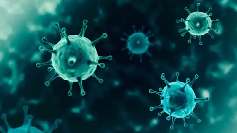 Koronavirus epidemiyası gözlənilən ömür müddətini qısaldıb