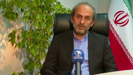 آئی آر آئی بی عالمی وژن کا حامل ادارہ ہے: ڈاکٹر پیمان جبلی 
