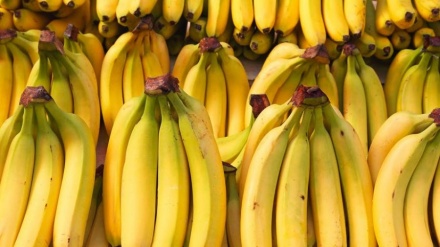 Importi i bananeve nga Amerika Latine u dyfishua, Ekuadori sivjet 'partneri kryesor tregtar'