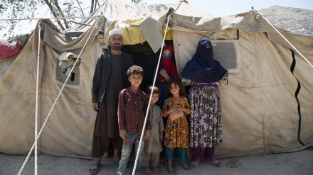 کابل میں مہاجرین کیمپ