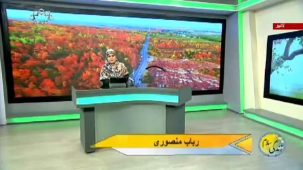 سماجی پروگرام ۔ زندگی سلام