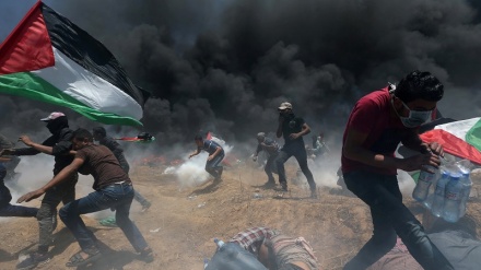 فلسطینی تنظیم کا مطالبہ، صیہونیوں کو لگام دی جائے