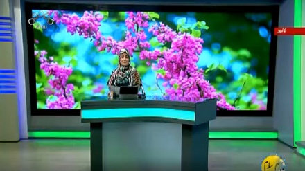 سماجی پروگرام ۔ زندگی سلام