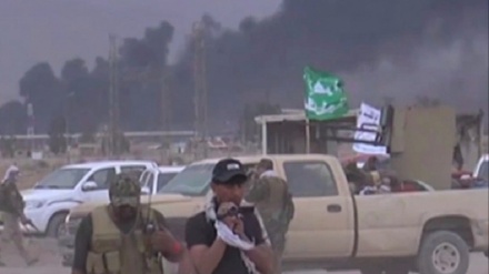 Hejmarek balefirên nenas ser devereke ser sînorê Iraq û Sûriyê 