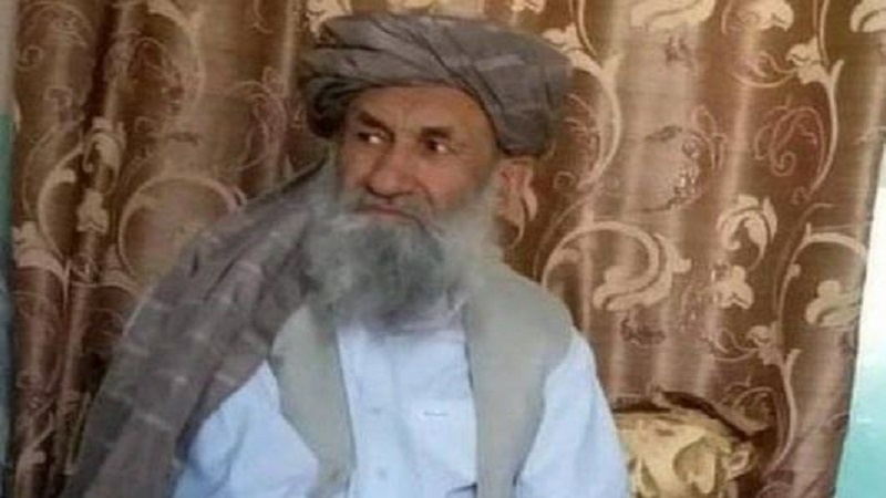 خون خرابے کے خاتمے پر طالبان کی تاکید 