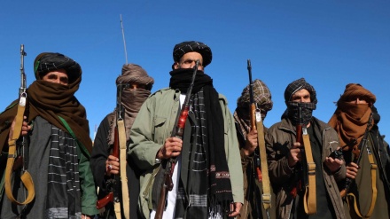 Taliban öz hökumətinin tərkibini elan etməyə hazırlaşır