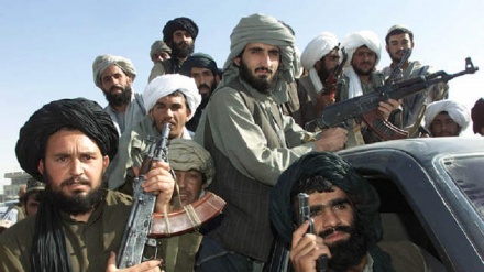 Pəncşirin 3 rayonu Talibandan geri alındı