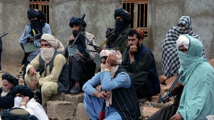 نامہ نگاروں پر طالبان کا تشدد