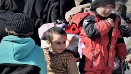 İŞİD-çilərin uşaqları Azərbaycana gətirilib