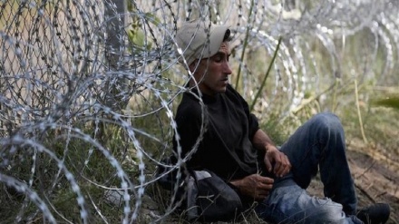 Razbijena kriminalna mreža koja je krijumčarila migrante iz BiH