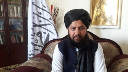 طالبان کا شیعہ سنی اتحاد کے فروغ اور داعش کی نابودی کا عزم 