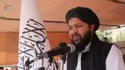 شیعہ سنی اتحاد کو مستحکم بنانے پر طالبان کی تاکید