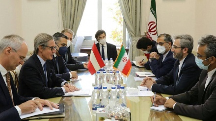 ایران-آسٹریا مذاکرات، آسٹریا کی کمپنیوں کی ایرانی بازار میں قدم جمانے میں دلچسپی