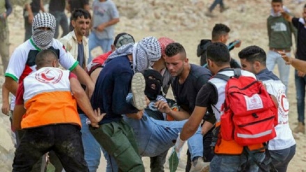 Më shumë se 70 palestinezë nga Bregu Perëndimor u plagosën në përleshjet me sionistët