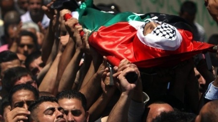 Martirizohet një palestinez i ri në Bregun Perëndimor