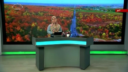 سماجی پروگرام ۔ زندگی سلام