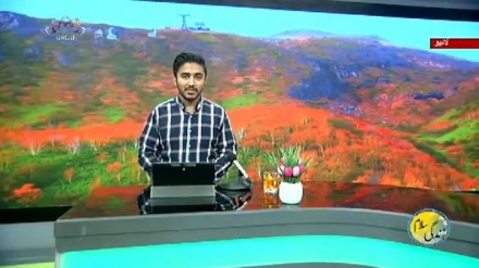 سماجی پروگرام ۔ زندگی سلام