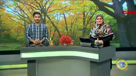 سماجی پروگرام ۔ زندگی سلام