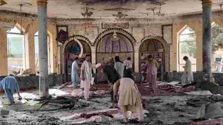 افغانستان میں شیعہ نمازی دہشتگردوں کے نشانے پر، اس بار قندھار کی شیعہ جامع مسجد پر حملہ کیا