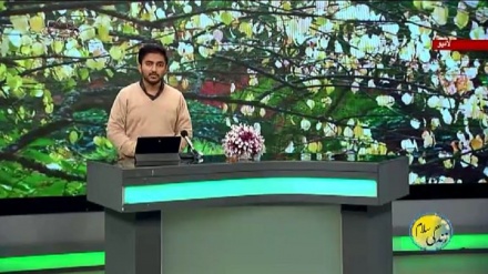 سماجی پروگرام ۔ زندگی سلام