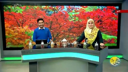 سماجی پروگرام ۔ زندگی سلام