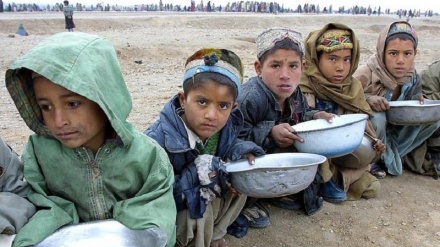 افغانستان میں بھوک مری پر خوراک کی عالمی تنظیم کا انتباہ