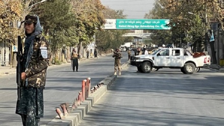 Di teqînên Kabulê de zêde ji 80 kes hatin kuştin û birîndar bûn