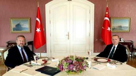 Izetbegović informirao Erdogana o jednostranim protivustavnim aktivnostima vlasti RS