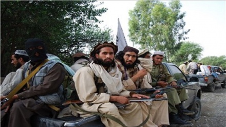 افغانستان میں طالبان حکومت کے بعد پاکستان میں بڑھتی دہشت گردی