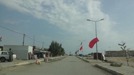 Li Qeretepeya navçeya Xaneqîna Iraqê hejmarek gullên hawin ketin xwarê