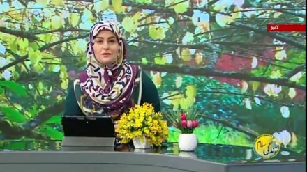 سماجی پروگرام ۔ زندگی سلام