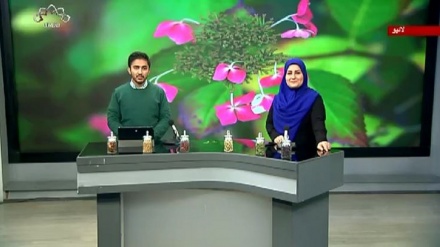 سماجی پروگرام ۔ زندگی سلام