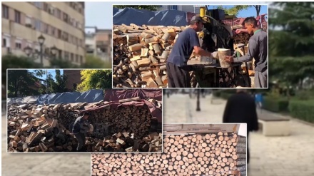  Rritet çmimi i druve në Shkodër, Shkak kërkesa e lartë dhe moratoriumi