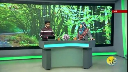 سماجی پروگرام ۔ زندگی سلام