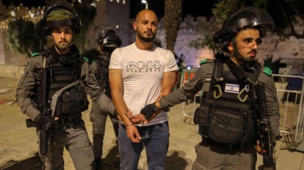 Sionistët arrestuan 400 palestinezë muajin e kaluar (tetor)