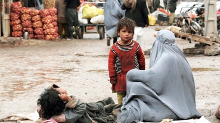 غربت و بے چارگی کے مارے افغان شہری، سڑکوں کے کنارے دن گزارنے پر مجبور۔ ویڈیو