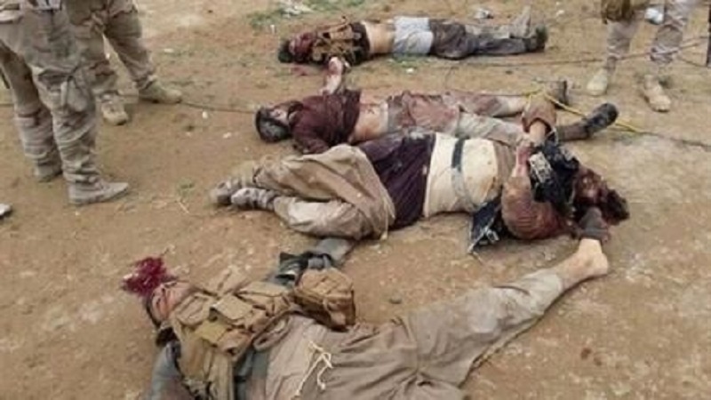 Li Iraqê 8 terorîstên DAIŞê hatin kuştin