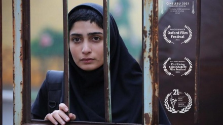 ایرانی فلم نے امریکہ میں عالمی ایوارڈ جیتا