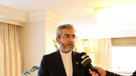 Muzakirekerê payebilind ê Îranê di gotûbêjên tev Koma 4+1ê da, gotûbêjên niha yên Viyenê erênî û ber bi pêş dan zanîn