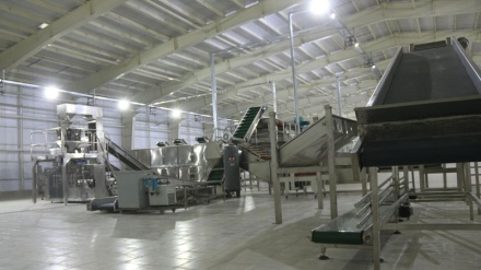 چهل درصد کارخانه‌های کشور با سقوط روبه‌رو شده‌اند